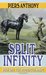 Split Infinity (Apprentice Adept, #1)