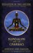 Kundalini and the Chakras: Evolution in This Lifetime: A Practical Guide