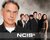 NCIS fans