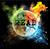 Mineola Library's 2012 FALL Reading Challenge