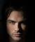Damon Salvatore: Dark, Brooding, Mysterious (Vampire Diaries)