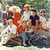 Gilligan Island Fans