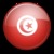 Tunisian Books