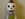 51124