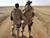 Camouflage Men: Gay Military