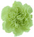 The Green Carnation