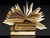 كتاب خانة