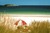 Algarve Readers