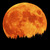 Light of the Moon