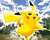 Pokemon RolePlay