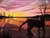 Warrior Cats {Advanced}