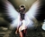Paranormal and Contemporary Romance: New and Upcoming Books/Authors