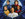 Trekkie Federation