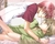 Anime Yaoi Forever!