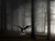 Paranormal Creatures
