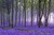 Paranormal Normals