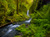 Fairy kingdom role play