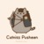 Blogs Follow For Follow