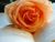 Passionate Minds Romance Lending Group