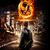 The Hunger Games Roleplay Group