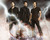 Supernatural Released {Advanced Role-Play}