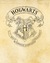 The Harry Potter Project