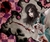 Wonderland~RolePlay
