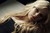 Paranormalcy ~Semi-Advanced rp