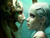Mystical/ Steampunk/ Creatures