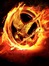Hunger Games Roleplay 2013
