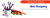 Web designing and web development