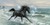 Horse Universe