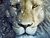 Narnia Role-play