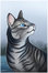 Ask Warriors Cats