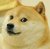 Doge Books
