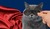 Super Heroes RP
