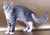 Warrior Cats Writing Group