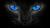 Warriors - The Clans of Darkness ~ RP (Advanced)