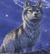 Wolves of the beyond