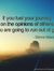 If you fuel your journey on the opinions of others, you are going to run