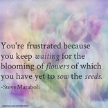 You’re frustrated because you keep waiting for the blooming of flowers of which you have