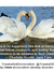 There is no happiness like that of being loved by your fellow creatures, and feeling