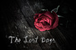 The Lost Days