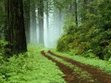 A Path