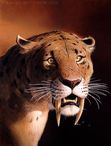 How the Sabertooth Tiger Lost His Long Fangs and Got Stripes