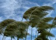 Wind Whisperers