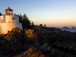 The Light House