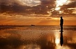 Writing a Picture: A Writer Reflects on the Art