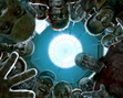 Not Your Typical Zombie Apocalypse
