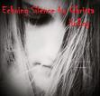 Echoing Silence